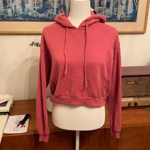 Abercrombie & Fitch Cropped Hoodie
